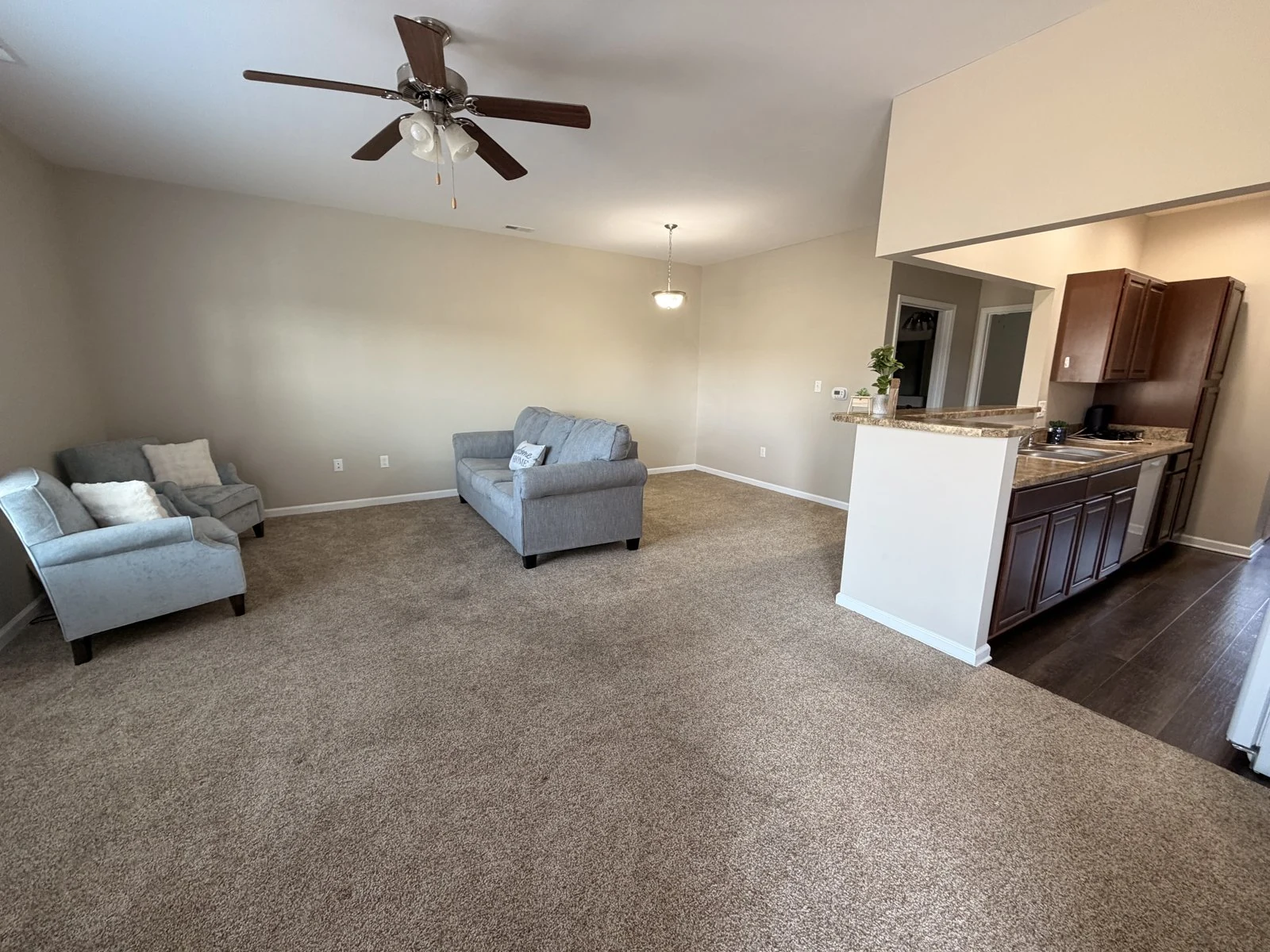 Homeplace Court living room and kitchen